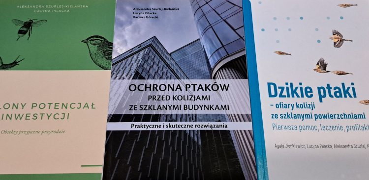 (fot. Radio Gdańsk/Włodek Raszkiewicz)