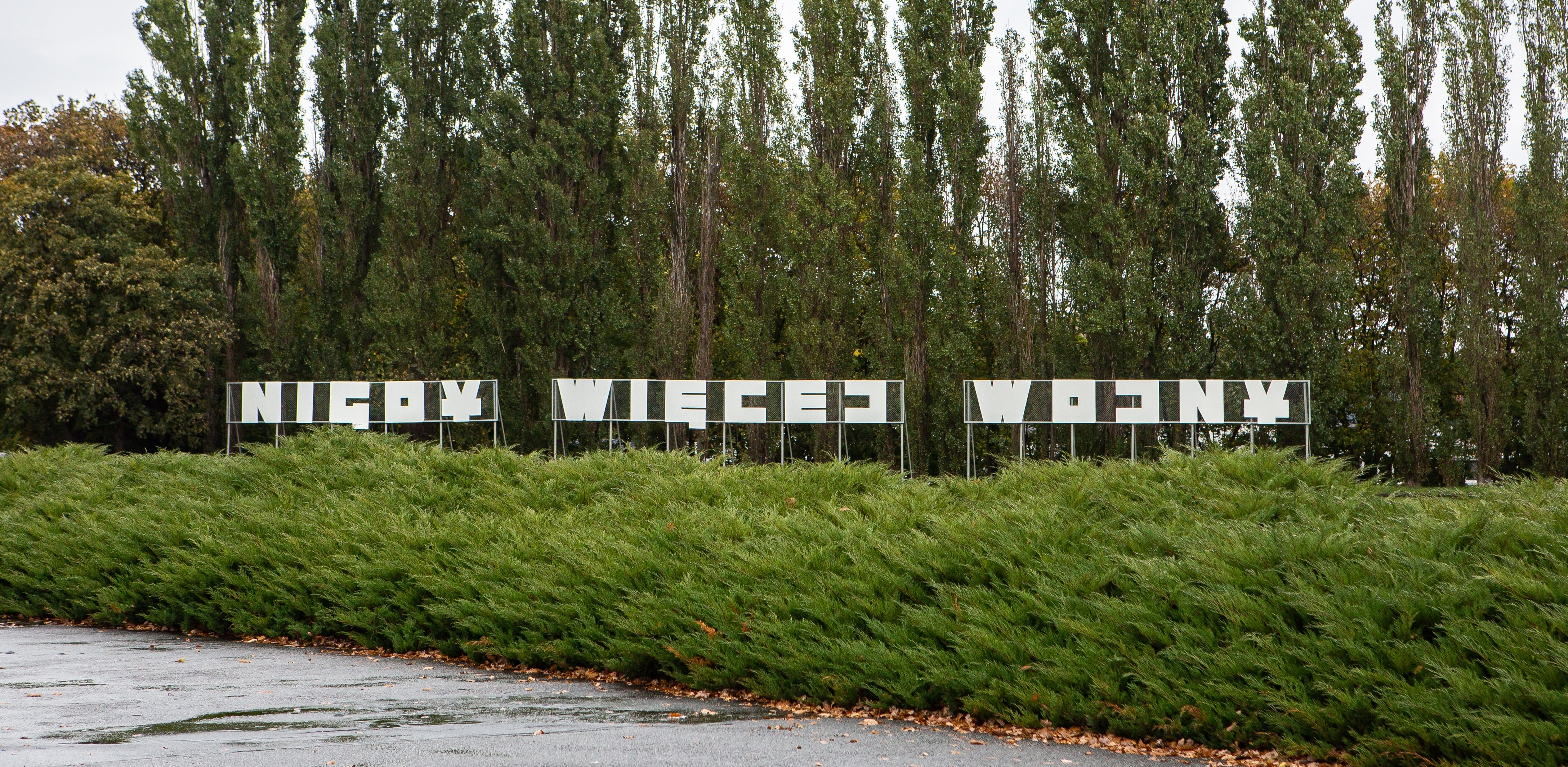 (Fot. Anna Rezulak / KFP)