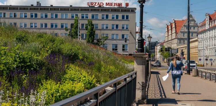 (Fot. Agencja KFP/Anna Rezulak)