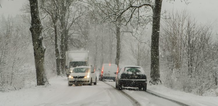 (fot. Anna Rezulak/KFP)