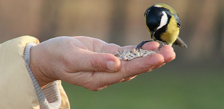 (Fot. Piotr Kuźniar)