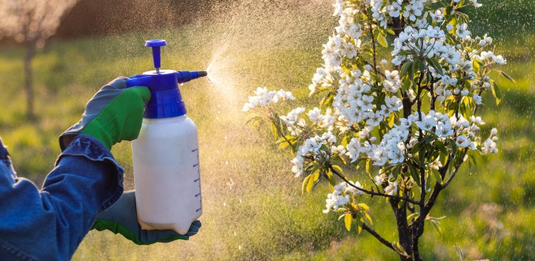 (Fot. Materiały prasowe)