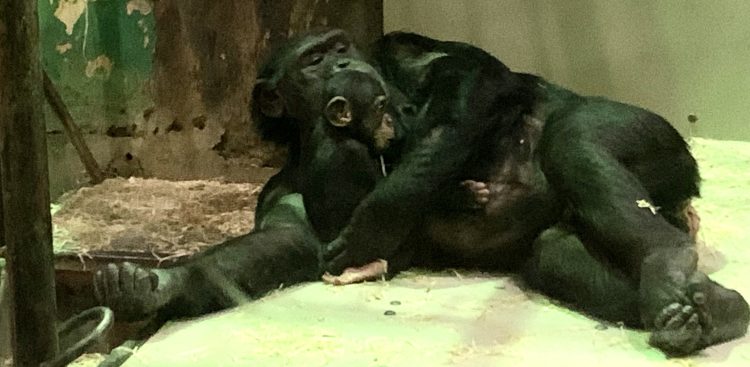 (Fot. Radio Gdańsk/Aleksandra Trembicka)