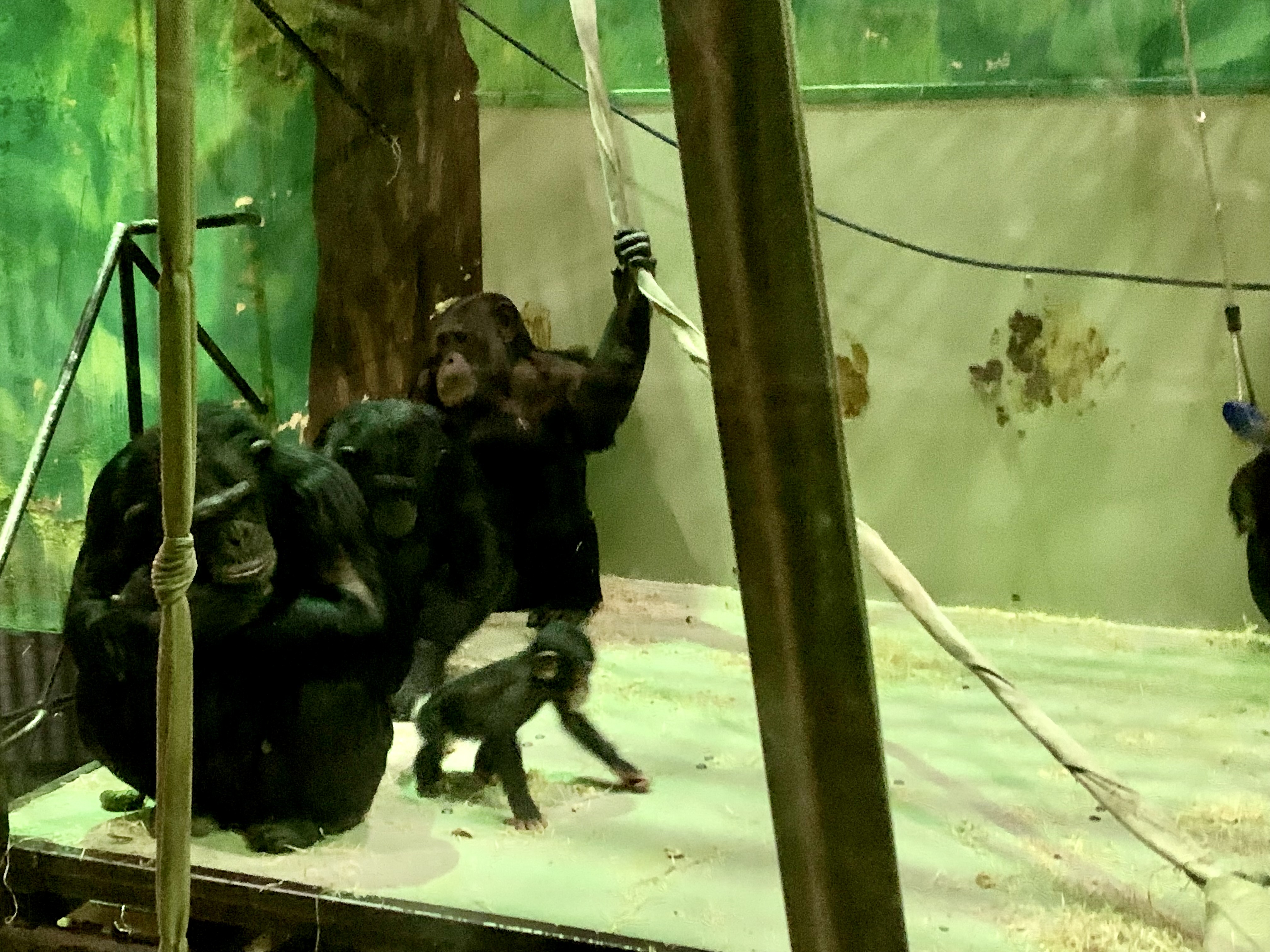 (Fot. Radio Gdańsk/Aleksandra Trembicka)