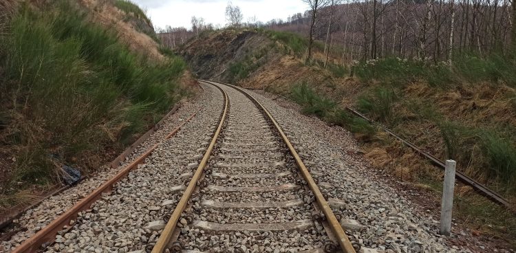 (Fot. Radio Gdańsk/Sebastian Kwiatkowski)