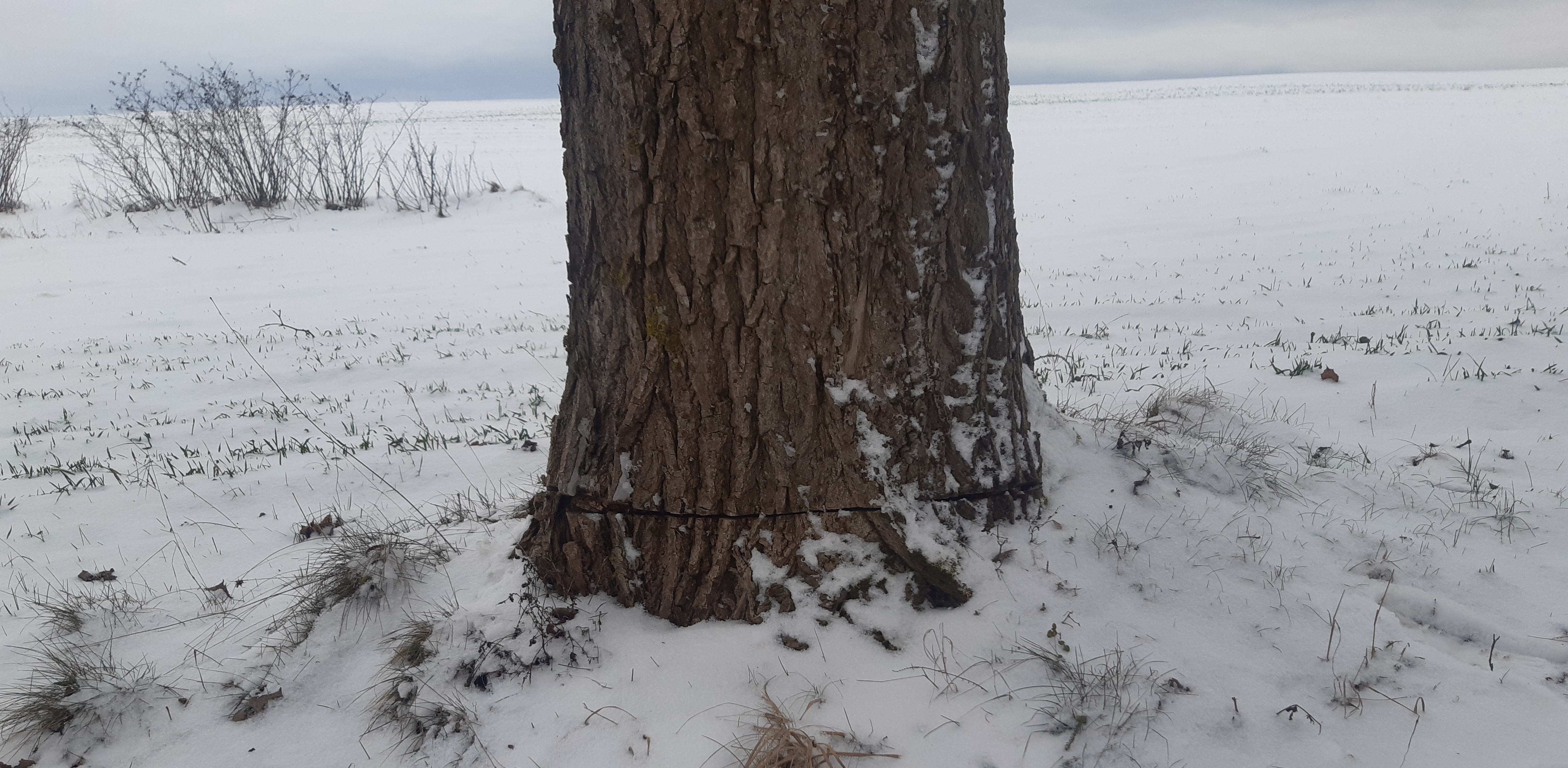 (Fot. Zarząd Dróg Wojewódzkich w Gdańsku)