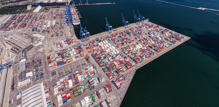 (Fot. materiały prasowe)