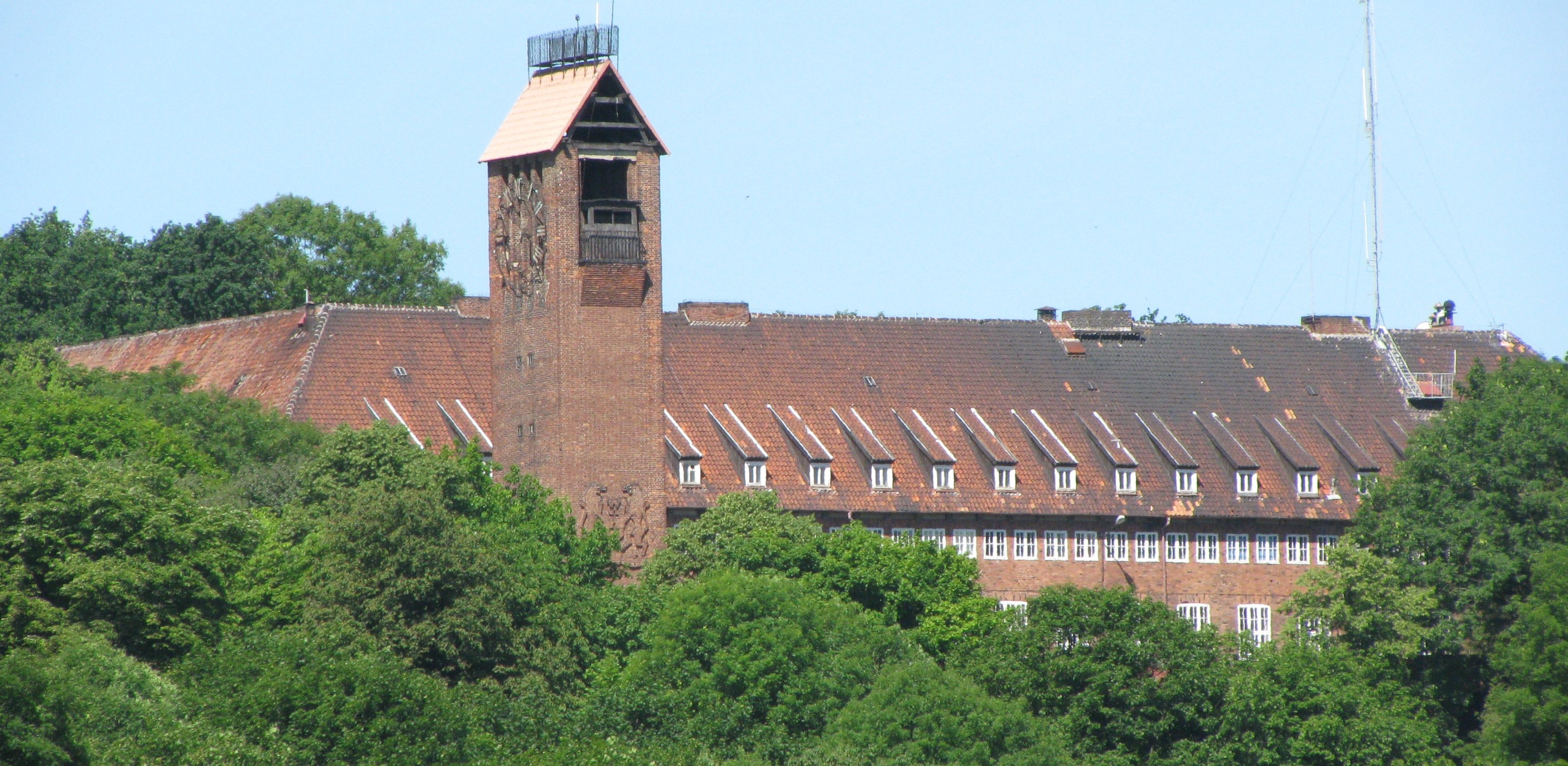 (Fot. Wikimedia Commons)