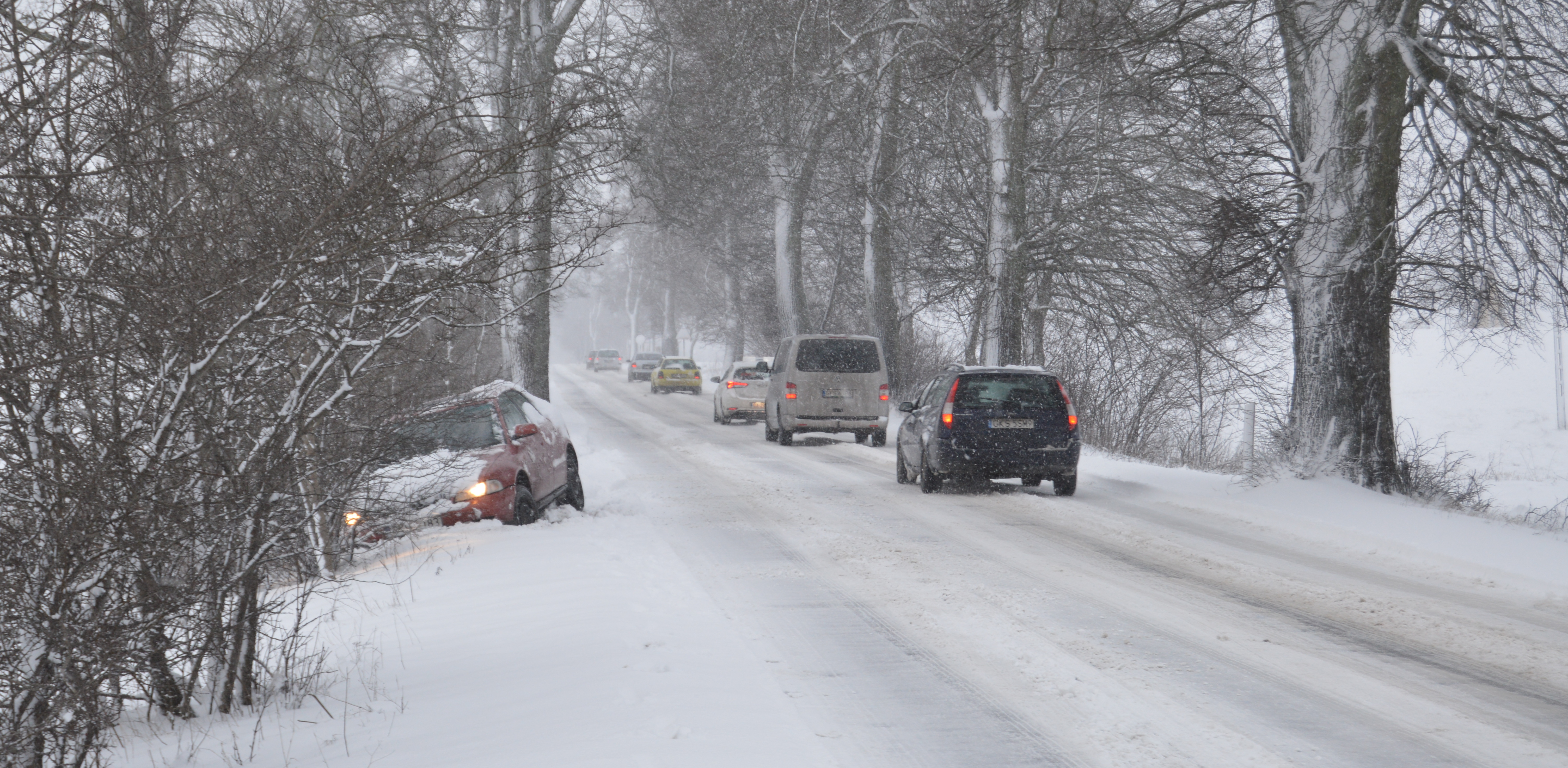 (Fot. Radio Gdańsk/Bartosz Stracewski)