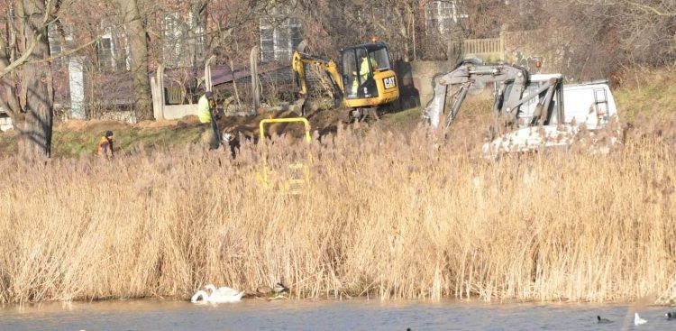 (Fot. Facebook.com/Dzika Fosa Miejska (Mariusz Lehmann)