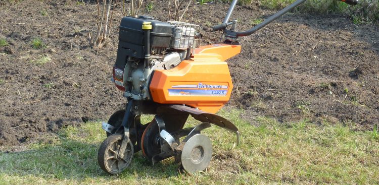 (Fot. wikimedia commons)