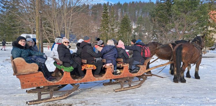 (Fot. Andrzej Wójcicki)