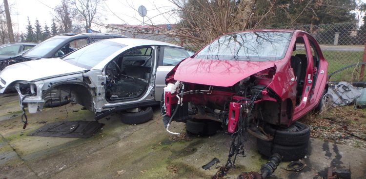 (Fot. Radio Gdańsk/Sebastian Kwiatkowski)