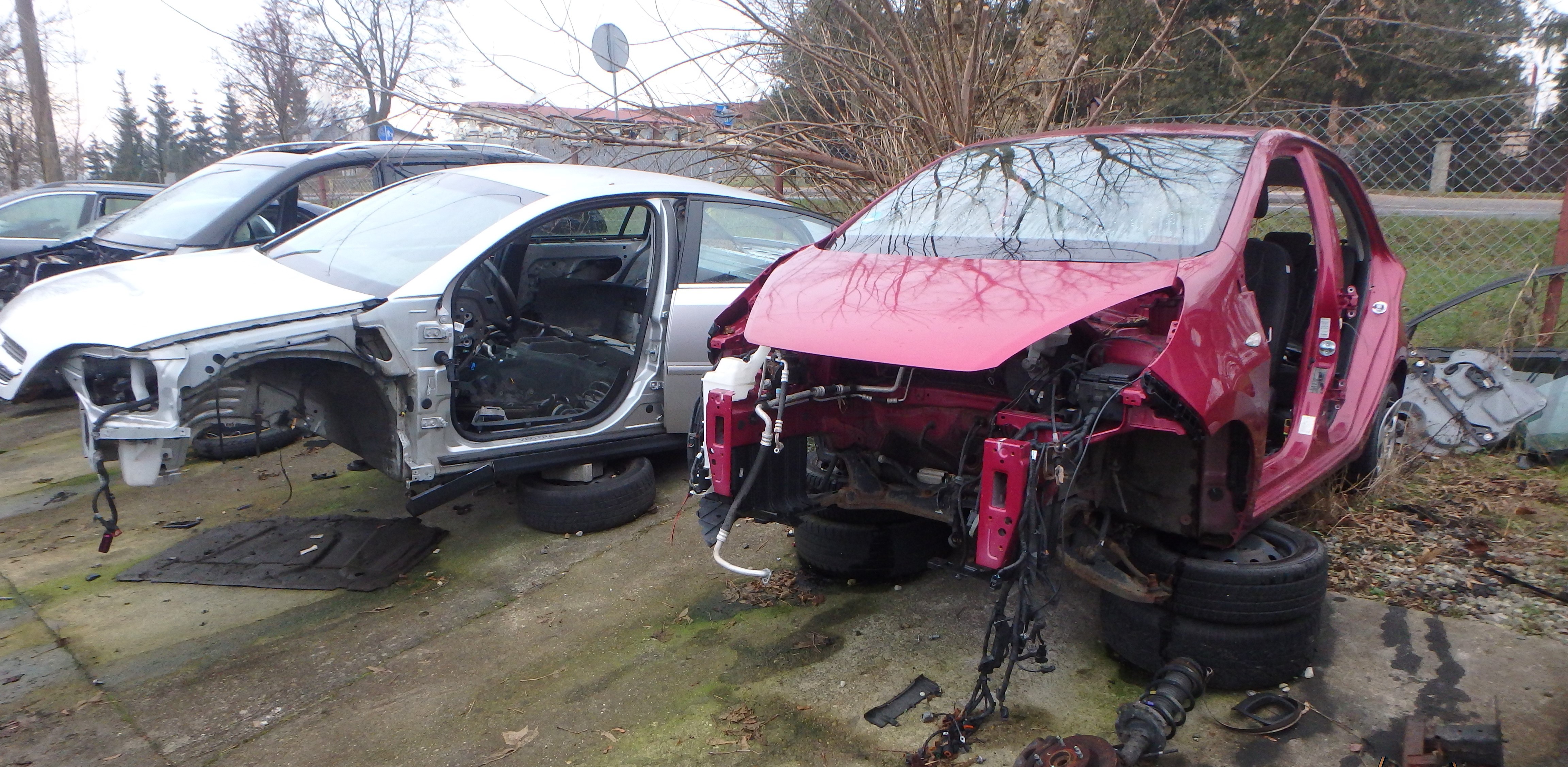 (Fot. Radio Gdańsk/Sebastian Kwiatkowski)