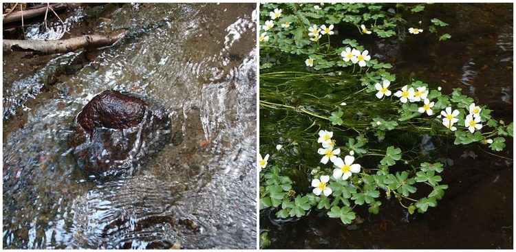 (Fot. dolinaslupi.pl/Marcin Miller)