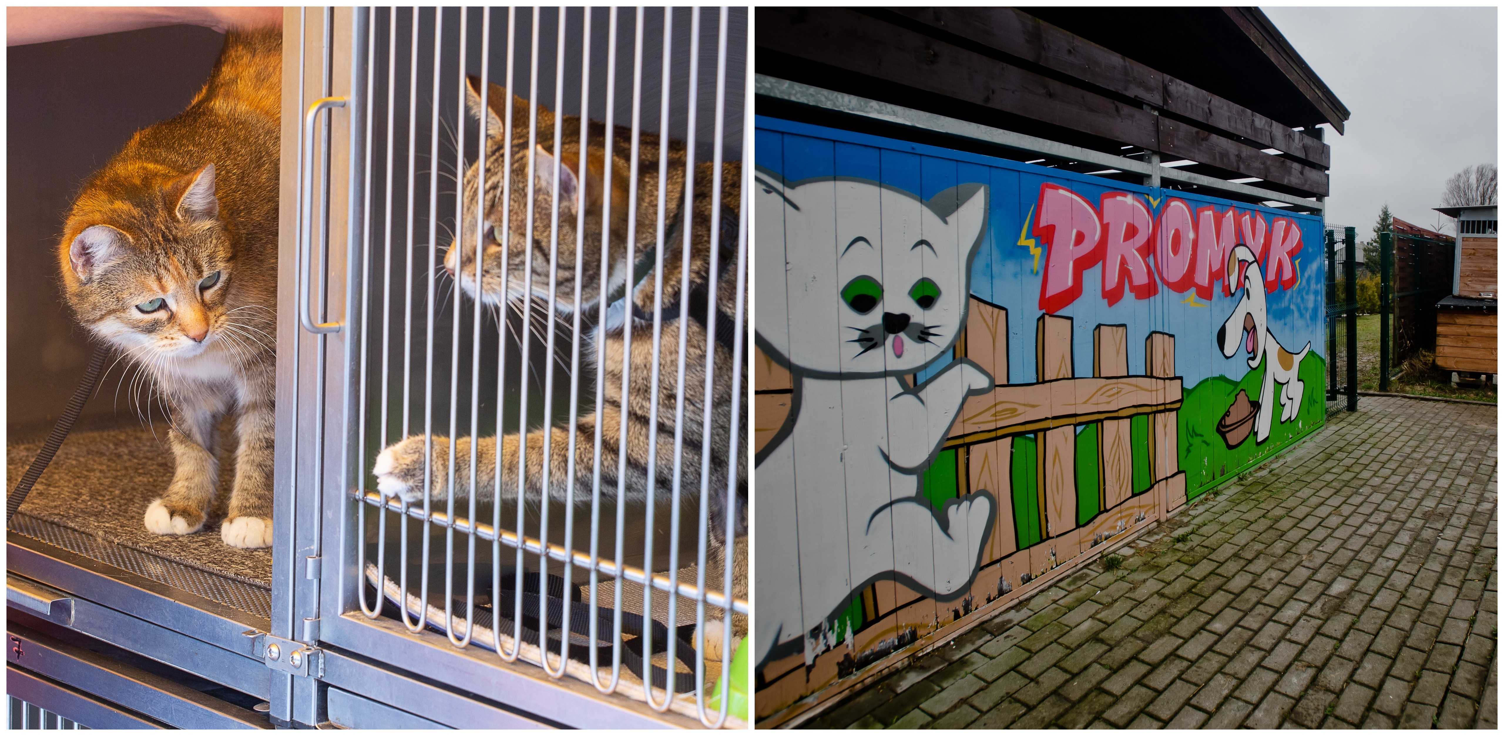 (Fot. KFP/Anna Rezulak/Mateusz Ochocki)