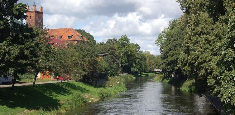 (Fot. Wikimedia Commons/Maria Golinski)