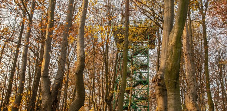 (Fot. KFP/Anna Rezulak)