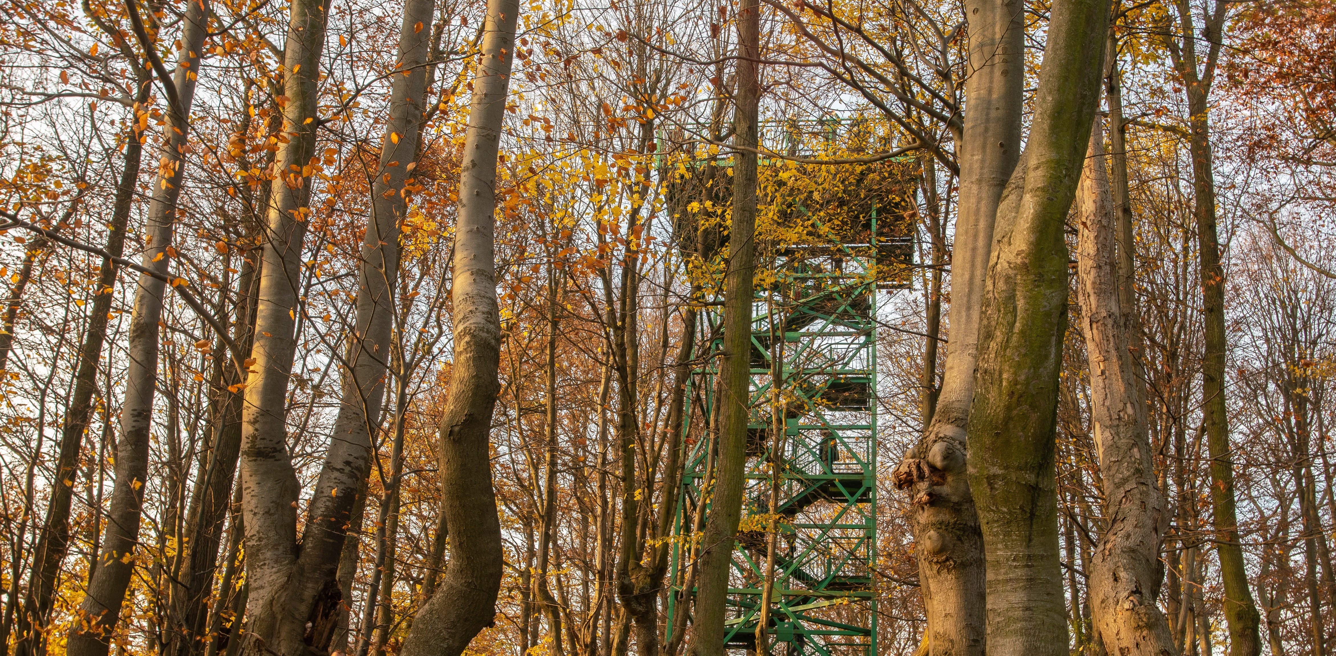 (Fot. KFP/Anna Rezulak)