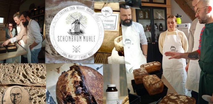 (Fot. Schonbaum Chmielove)