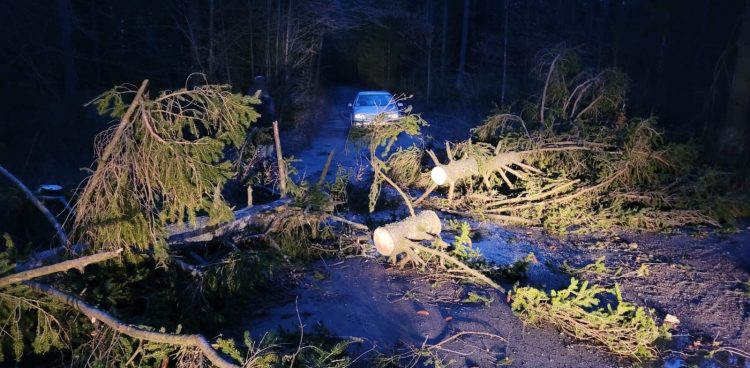 (fot. KP PSP Kartuzy)