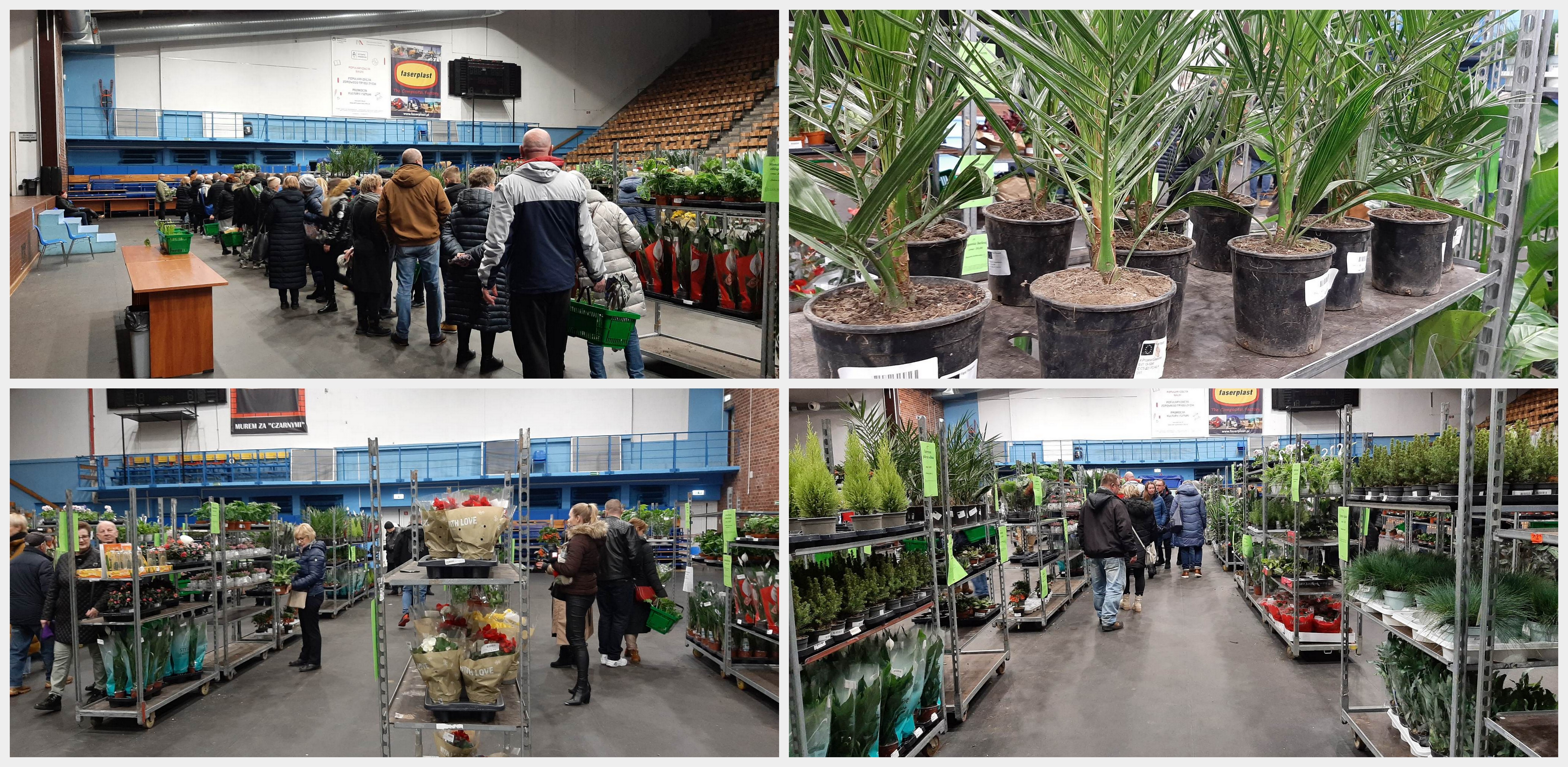 (Fot. Radio Gdańsk/Przemysław Woś)