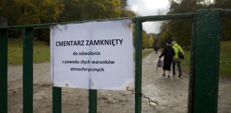 (fot. Krzysztof Mystkowski / KFP)