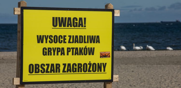 Zdjęcie ilustracyjne (fot. Agencja KFP/Krzysztof Mystkowski)