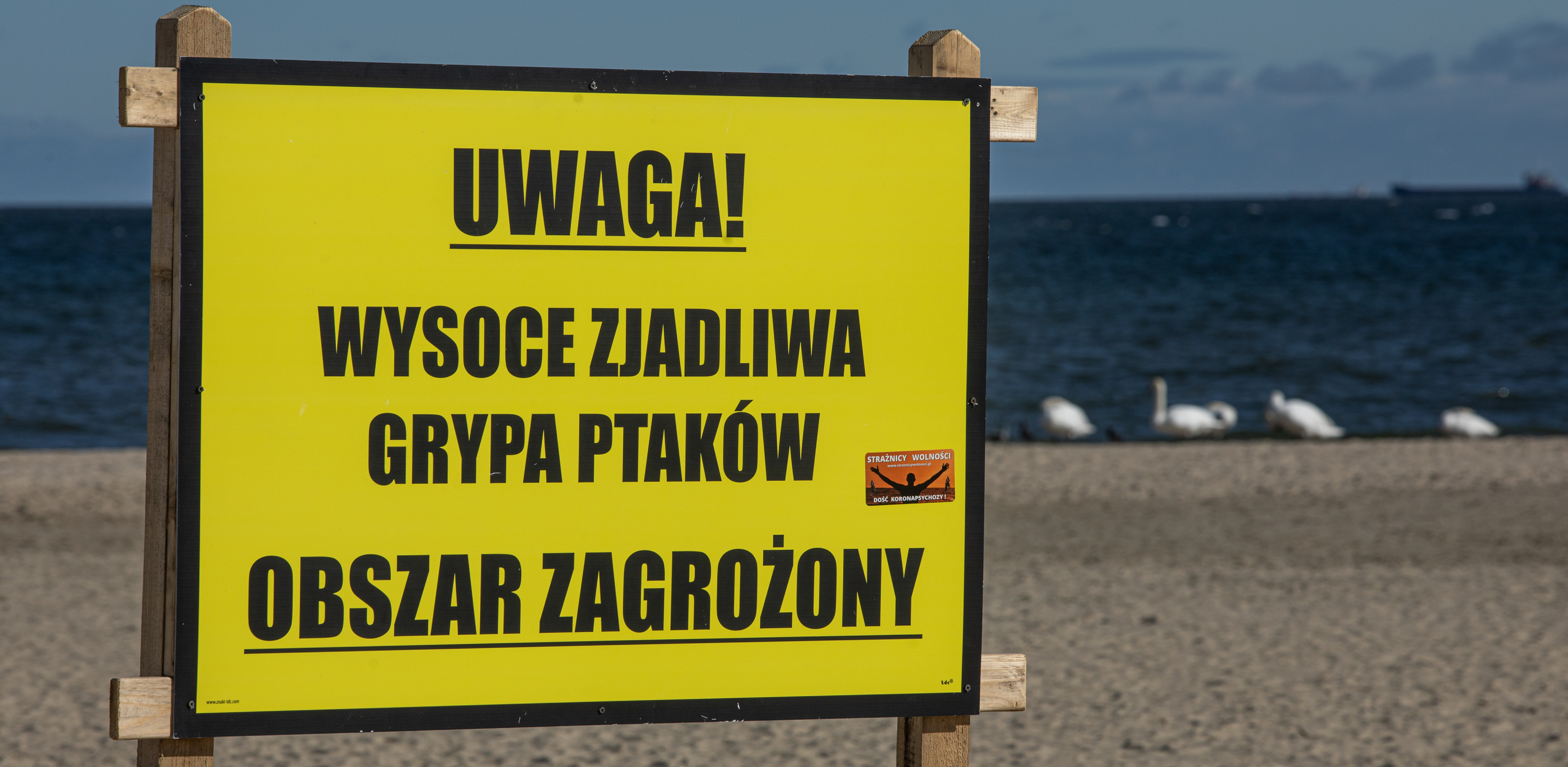 Zdjęcie ilustracyjne (fot. Agencja KFP/Krzysztof Mystkowski)