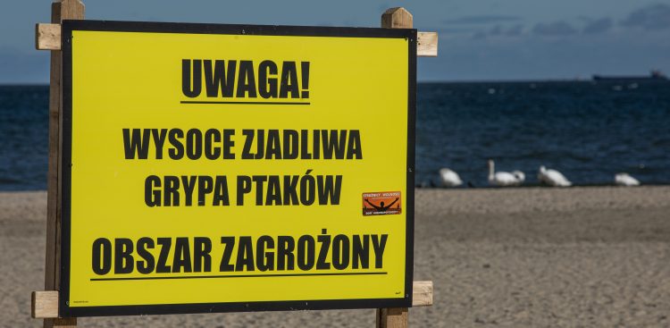 (Fot. Krzysztof Mystkowski / KFP)