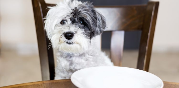 (fot. Freepik/boryanam)