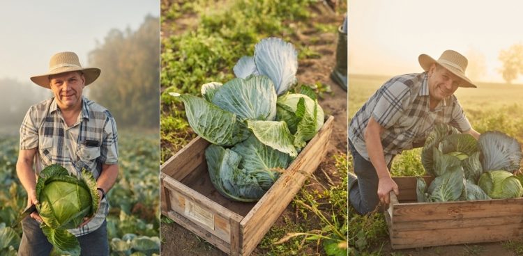 (Fot. Facebook/Gdański Bazar Natury)