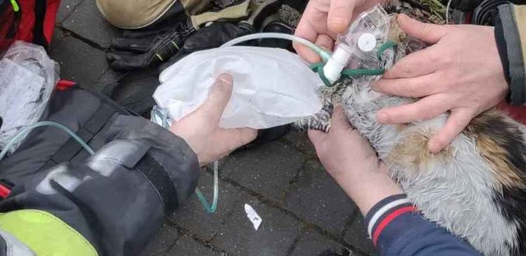 (Fot. Facebook/KP PSP w Pucku)