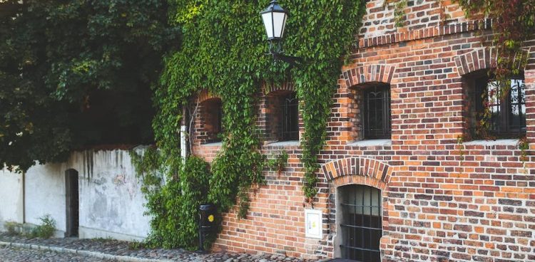 (Fot. Materiały prasowe)