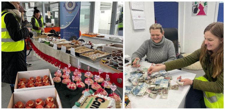 (fot. Schronisko dla Zwierząt w Słupsku)