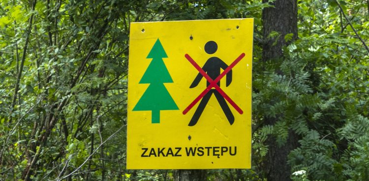 (Fot. Daniel Sloboda / KFP)