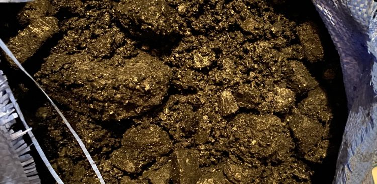 (Fot. nadesłane przez słuchaczkę)