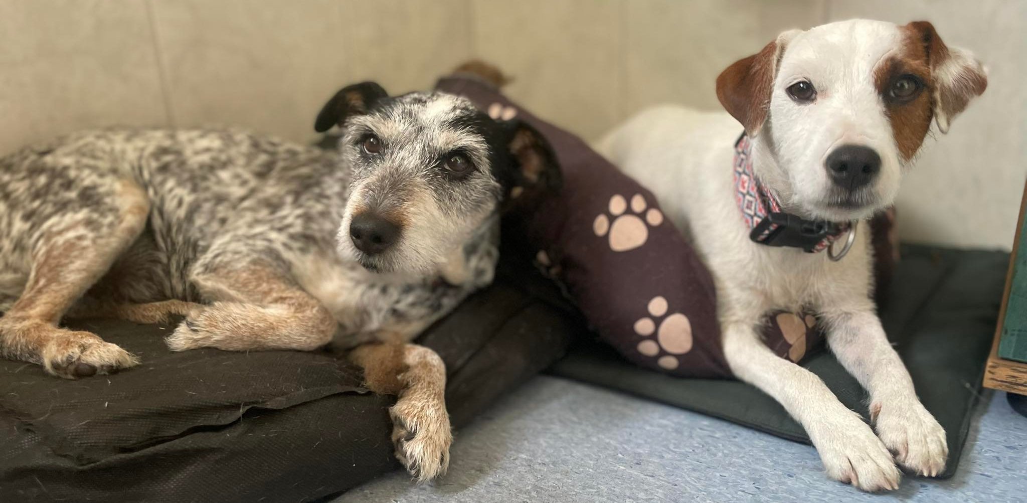 (fot. Joanna Kustosik)