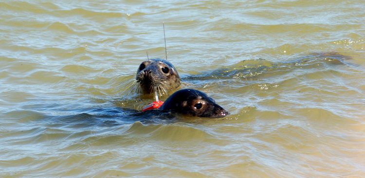 (Fot. KFP/Hubert Bierndgarski)