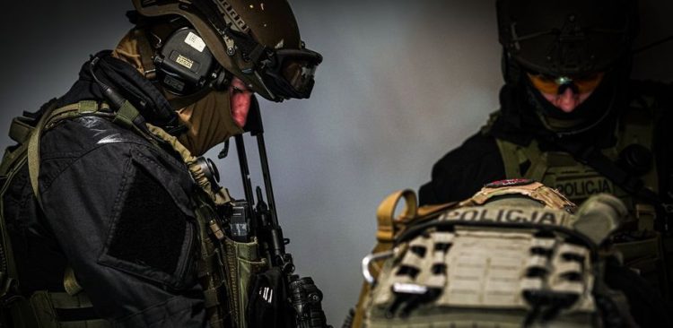 (Fot. mat.pras./KWP Gdańsk)