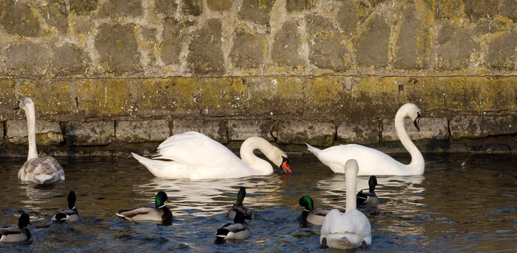 (Fot. KFP/Wojciech Strozyk)