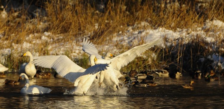 (Fot. dolinaslupi.pl/W. Szypuła)