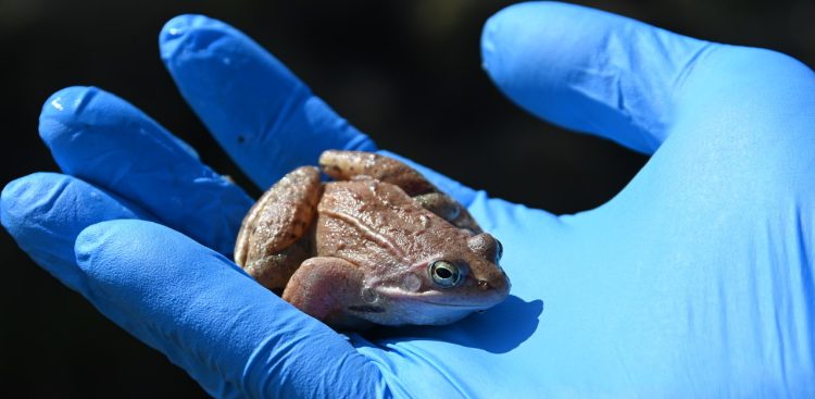 Fot. mat.pras./gdynia.pl(Zygmunt Gołąb)