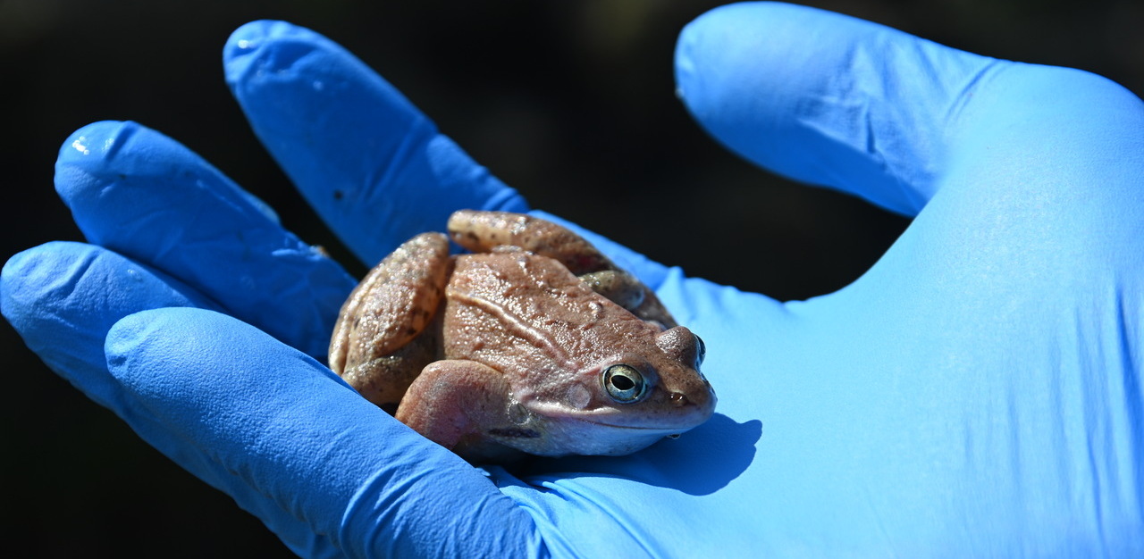 Fot. mat.pras./gdynia.pl(Zygmunt Gołąb)