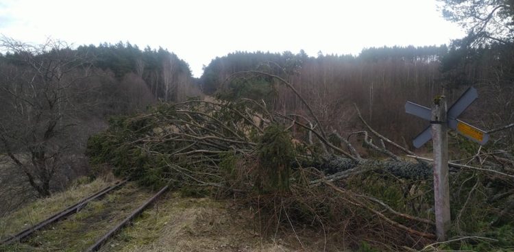 (Fot. Radio Gdańsk/Przemysław Woś)