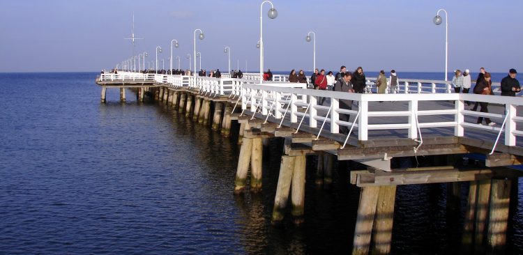 (Fot. Wikimedia Commons)