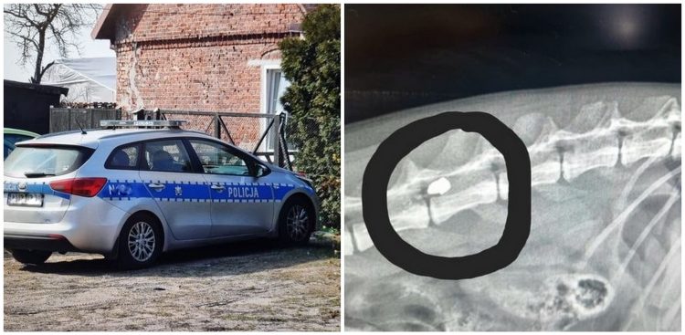 (Fot. Archiwum prywatne)