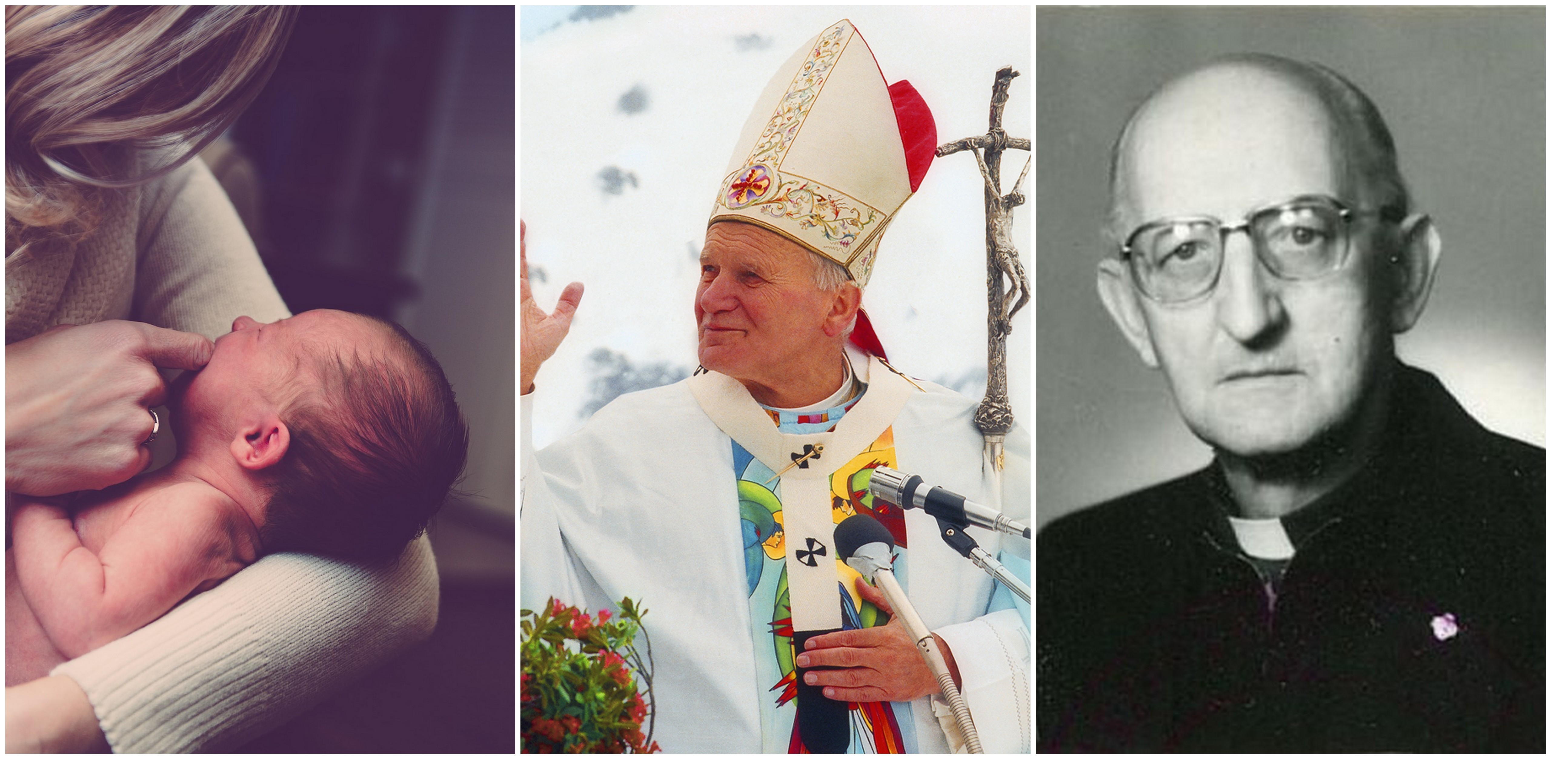 (Fot. Wikimedia Commons/Pixabay.com)