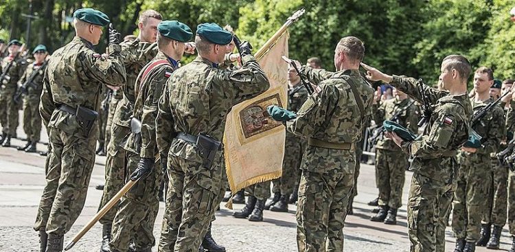 (Fot. Wikimedia Commons/Robert Suchy)