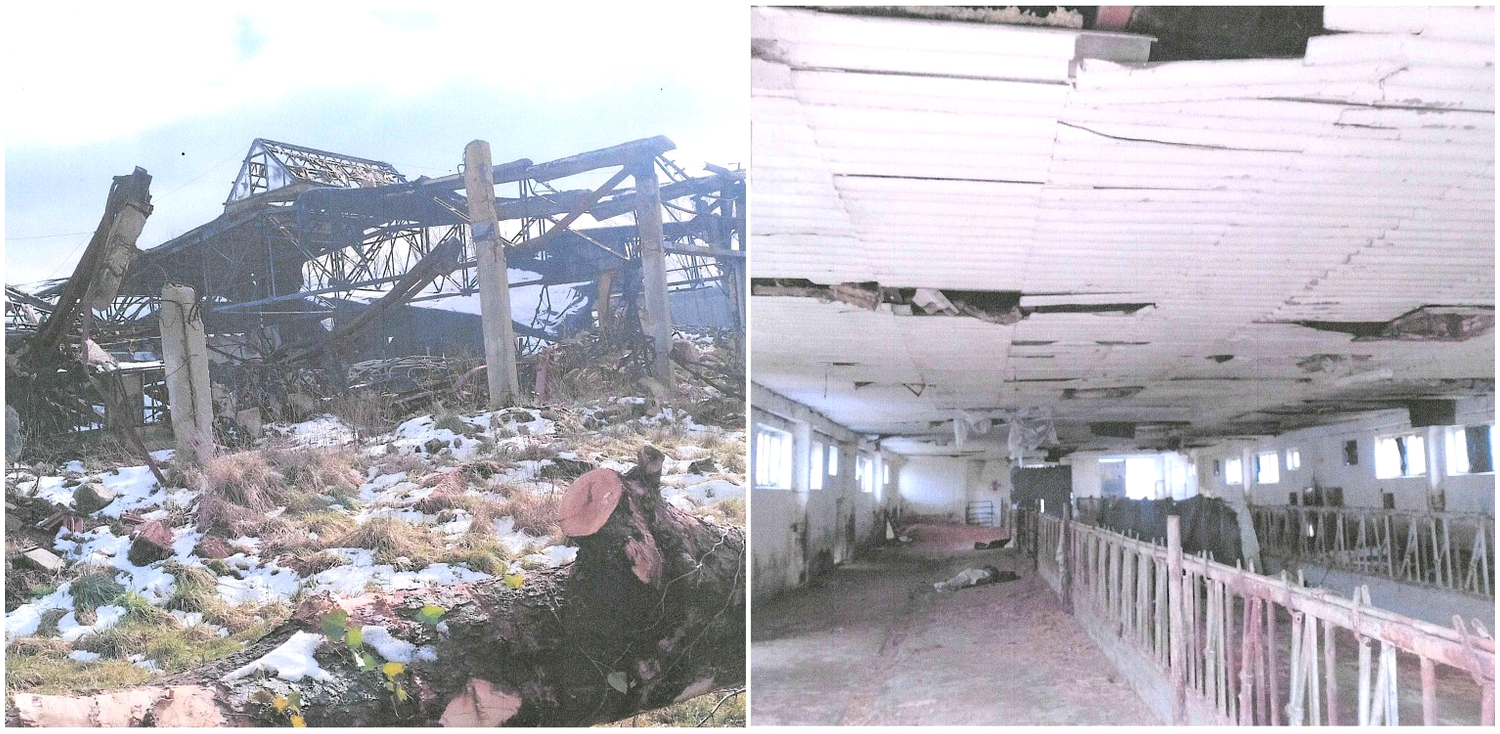 (Fot. Twitter.com/Aleksander Jankowski)